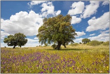 Wunderschöne Extremadura