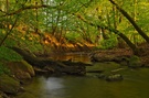 Maiengrün am Nonnenbach