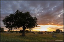 Abend in der Extremadura