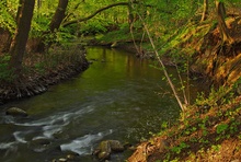 Maiengrün am Nonnenbach 2