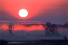 Sonnenaufgang im Biebrza Nationalpark