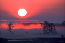 Sonnenaufgang im Biebrza Nationalpark