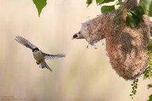 Mach ´nen Abflug, Mann!