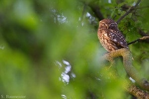 Entspannung auf Käuzisch