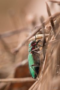 ...es geht berghoch...