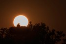 Sonnenaufgang überm Storchennest