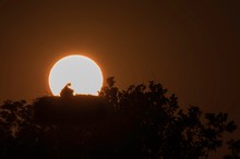 Sonnenaufgang überm Storchennest