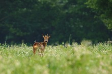 Rückblick