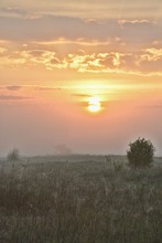 Sonnenaufgang im Frühnebel