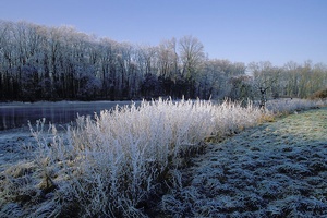 Winterimpression aus der Emsaue