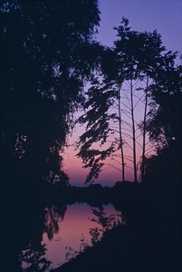 Abendstimmung am Nettebruchsee 1991