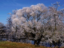 Winter an der Lahn II