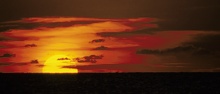 Sonnenuntergang an der Nordsee Bild 2