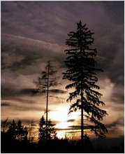 Sunshine in the evening * Reload *
