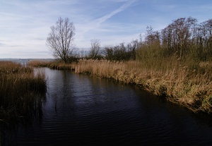 Hemmelsdorfer See II