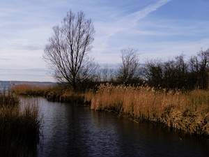 Hemmelsdorfer See III