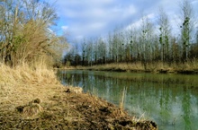 Alter Rhein