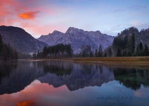 Herbstmorgen am Almsee