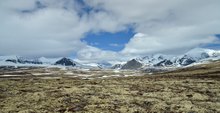 Rondane