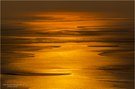 Goldenes Wattenmeer