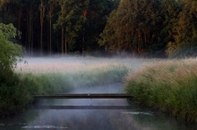 Morgennebel an der Niers