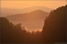 Morgennebel im Elbsandstein