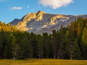 Herbstabend im Schweizer Nationalpark