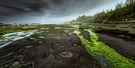 Noch einmal Juan de Fuca trail