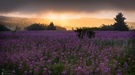 Sonnenaufgang in der Rhön