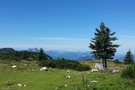 Hochlecken auf 1691 m