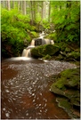 Ternellbach im Sommer
