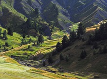 Col de la Bonnette