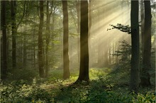 Nach Regen kommt Sonne