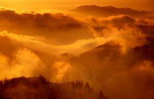 Winter im Nordschwarzwald