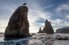 Rialto Beach