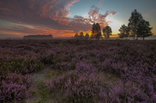 Vor dem Sonnenaufgang in die Heide