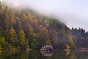 Herbstnebel