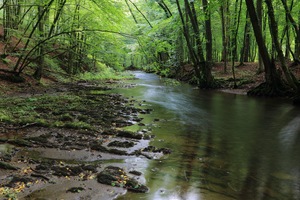 Die Dhünn im Bergischen Land