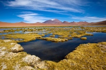 Atacama