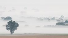 Nebel im Spätsommer