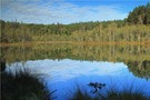Klarer Morgen am See