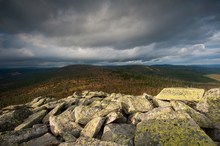 Nationalpark Bayerischer Wald - Filmprojekt