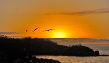 Galapagos sunrise