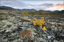 Herbst im Rondane