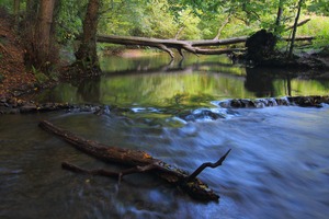 Bachidylle im Bergischen Land