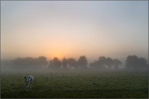 Ostfriesischer Morgennebel