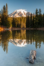 gespiegelter Mt. Rainier