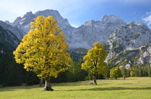 Herbst in den Bergen