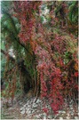 ~ Herbstfarben ~