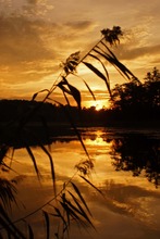 Sonnenuntergang am Langen See, Garzin (bei Strausberg)